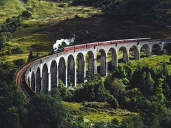 Pociąg, Szkocja, Dolina, Wiadukt Glenfinnan, Glenfinnan, Roślinność